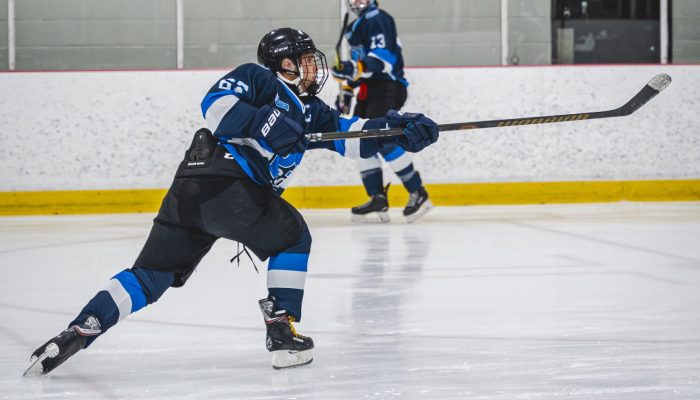 Service photographie - couverture sportive, hockey, match - Twitch Lewislefou